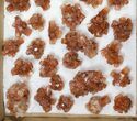 Lot: Assorted Twinned Aragonite Clusters - Pieces #134144-1